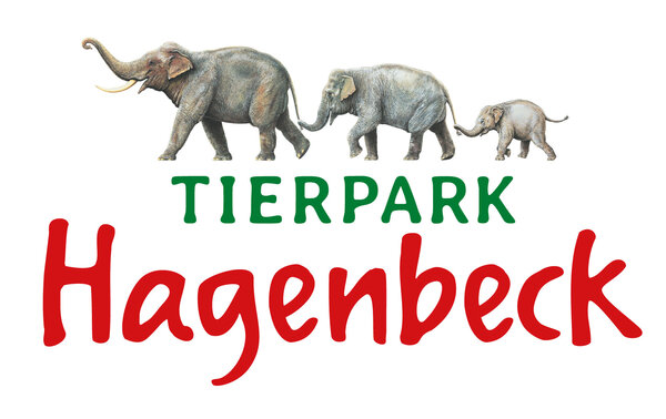 Wir suchen Sie als Junior-Architekt/in (m/w/d), in Voll-/Teilzeit, zunächst befristet auf 2 Jahre